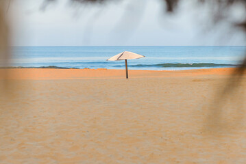  Beach loungers, Relaxation, Beachside, Umbrellas,