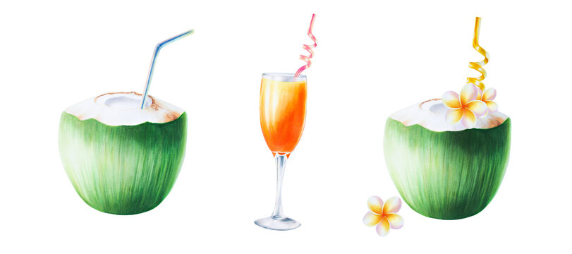 Watercolor illustration of green coconuts with tubes for drinks, orchid flowers and glass goblet with orange cocktail with pink tube. Beach cocktails with straws isolated on white background. For desi