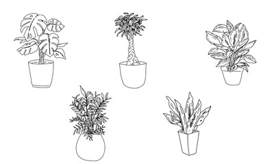 線画のお洒落な観葉植物のイラスト