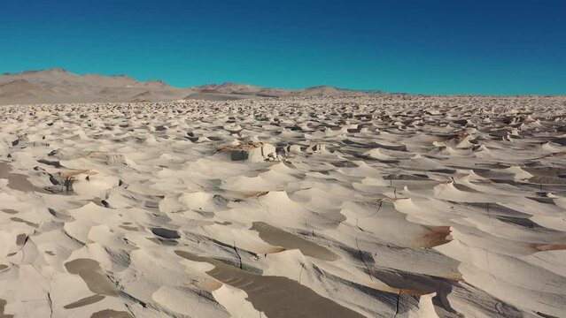 Tulipanes y paisajes en Catamarca, Argentina 