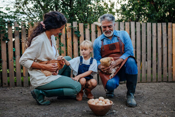 Toddler petting chicken in the garden