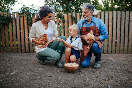 Family spending time with chicken in the garden