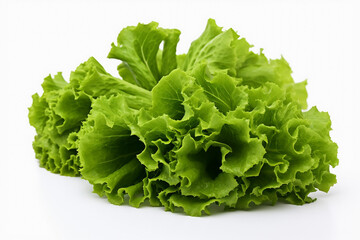 Salad with lettuce, greens and dark greens white background