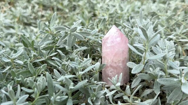 Rose Quartz Point standing in grass outdoor. Single Pink Gemstone Tower, Heart Chakra, Healing Crystal, close-up.