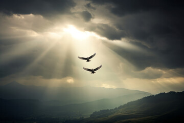 Fototapeta premium Stormy landscape with light rays crossing the clouds and the horizon, and a bird flying at a high altitude