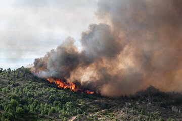 Incêndio florestal com grandes labaredas a queimar o monte com uma enorme nuvem de fumo no ar