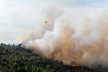 Avião no combate ao incêndio florestal sobrevoando as labaredas que deixam muito fumo no ar