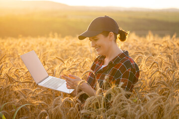 Woman farmer working with laptop on wheat field. Smart farming and digital agriculture..