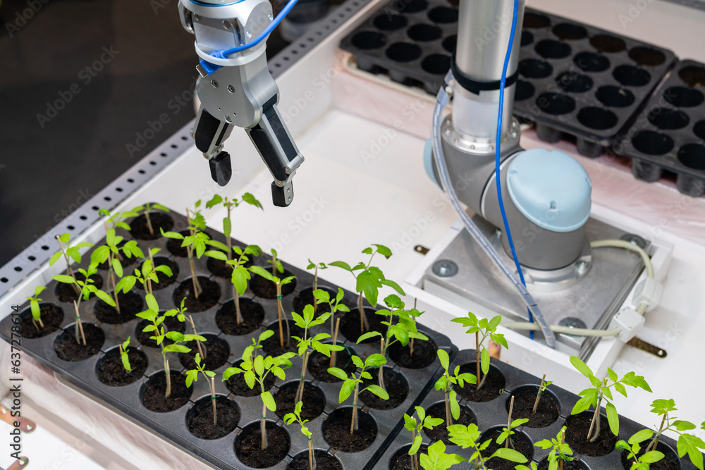 Poster A robot in a greenhouse evaluates the quality of tomato seedlings using a sensor. Smart farming concept.