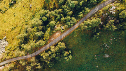 Aerial view of narrow road among green summer trees and fields in the Alps, high angle view. Natural background.