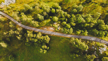 Aerial view of narrow road among green summer trees and fields in the Alps, high angle view. Natural background.