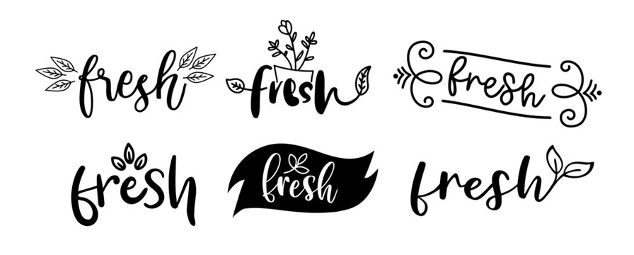 Fresh typography logo set. Design fresh icon with leaf. Fresh vector sign word. Design food market poster, flyer, banner. Hand drawn calligraphy text. Signboard icon fresh.