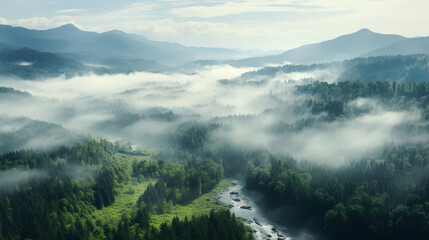 The Foggy Forest in the Mountains. Generative Ai