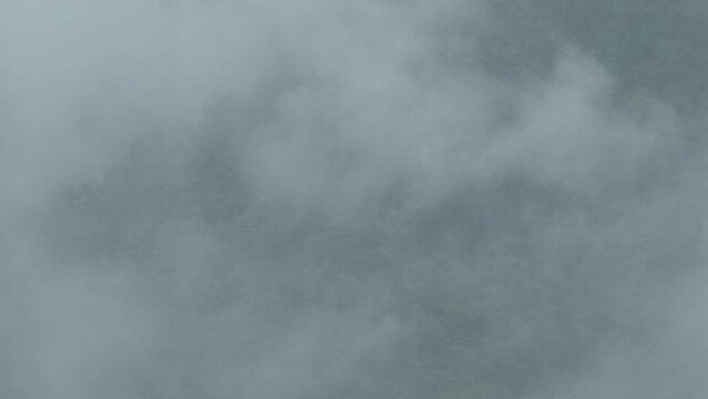 Rain forest in Sout - East Asian. Clouds fog after rain in the evening day is very fresh life befor sleeping to night.