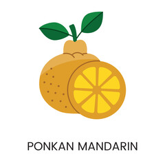 Vector illustration of mandarin ponkan, conveying juiciness and vibrant color. Ideal for fresh and lively designs.