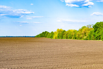 Photography on theme big empty farm field for organic harvest
