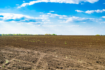 Photography on theme big empty farm field for organic harvest