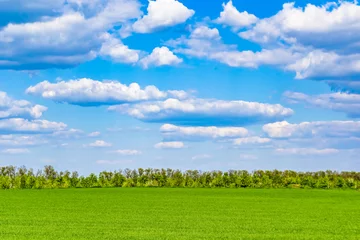  Beautiful horizon scenery in village meadow on color natural background © oleg525