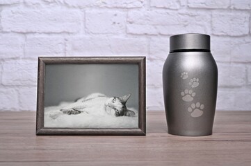 Decorative urn , next to a photograph of the pet on the table. Horizontal image. - obrazy, fototapety, plakaty