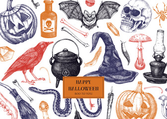 Halloween banner in color. Hand drawn vector illustration. Skulls, bones, pumpkin, poisonous mushrooms, snakes, raven, witch hat sketches. Autumn holiday design. Vintage Halloween party invitation