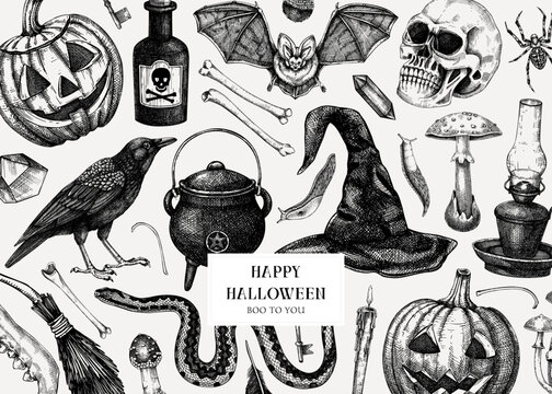 Halloween background. Hand drawn vector illustration. Skulls, bones, pumpkin, poisonous mushrooms, snakes, raven, witch hat sketches. Autumn holiday design. Vintage Halloween party invitation card