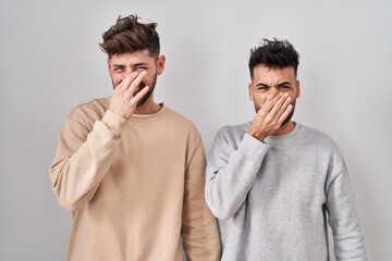 Young homosexual couple standing over white background smelling something stinky and disgusting,...