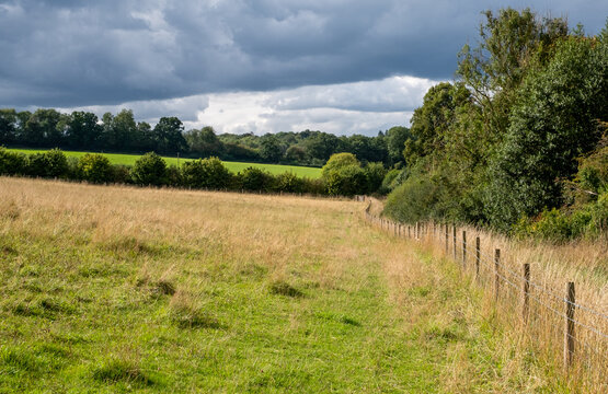 The Chess River Valley between Chorleywood and Sarratt, Hertfordshire, UK. Photographed on a cloudy day in late August.
