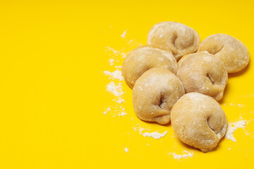 Cooking home food concept with raw dumplings