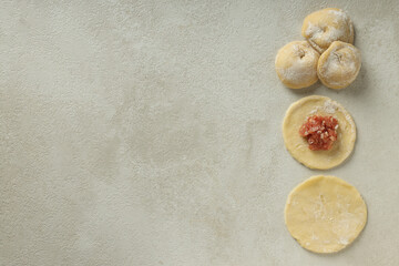 Cooking home food concept with raw dumplings