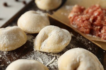 Cooking home food concept with raw dumplings