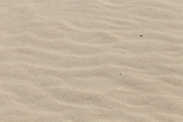 Fototapeta na wymiar harmonic pattern of sandy beach as natural background