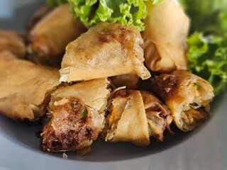 Fried spring rolls.Use for website banner background, backdrop

