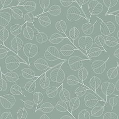 Seamless pattern with Eucalyptus branch and leaves. Eucalyptus leaf and branches in sketch style. Botanical background with hand drawn eucalyptus plant in minimal style. Vector illustration