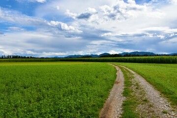 Fototapeta na wymiar Country road and fields at Sorsko Polje and hills behind in Gorenjska, Slovenia