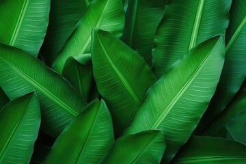 Modern fluorescent color composition made of banana leaves. Flat lay in radiant greens. Nature concept