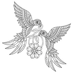 Parrot and flower hand drawn for adult coloring book