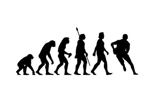 Theory of evolution of man silhouette from ape to rugby player. Vector illustration