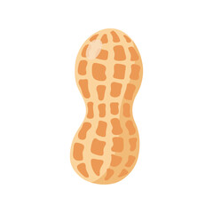 Funny cartoon peanut. Cute nut. Vector food illustration isolated on white background