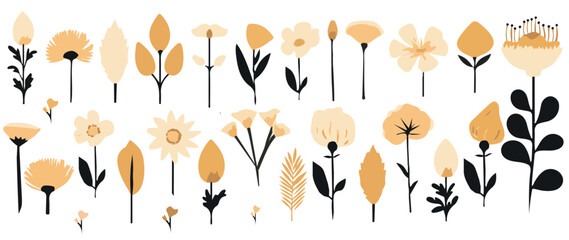 Flowers Vector Collection. Wild flowers vector collection. Abstract herbs, herbaceous flowering plants, blooming flowers, Pastel flowers, isolated on white Background. 