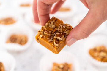 Pumpkin spice fudge with pecans