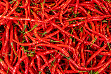 Photo from the top of a pile of freshly harvested red chilies