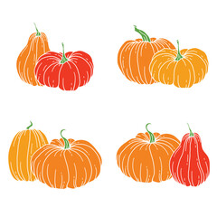 Pumpkins Flat Illustration, Pumpkin arrangement Hand Drawn Illustration.  Thanksgiving Pumpkins set. Thanksgiving Pumpkins set isolated on white