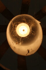 light bulb in the dark