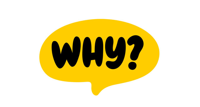 Naklejki WHY question word speech bubble. Lettering. Why question text. Hand drawn quote. Doodle phrase icon. Graphic Design print Vector word illustration. Why question word for learning English