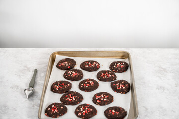 Chocolate cookies with peppermint chips