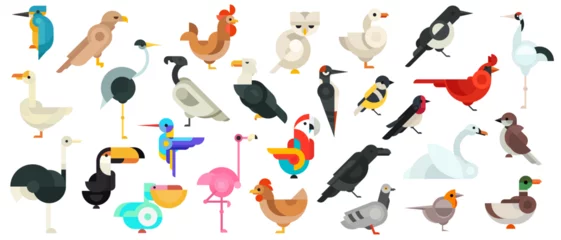 Photo sur Plexiglas Dessins animés de hibou Set vector abstract various geometric birds in modern fashion minimal art style. Collection bright cartoon characters. Batch color design elements, icon or illustration.