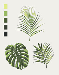 palm leaves tropical vector green scale colors