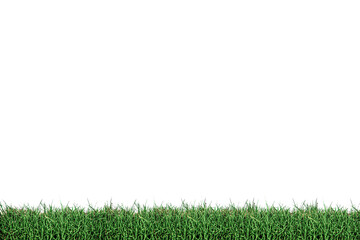 grass patch isolated on white background