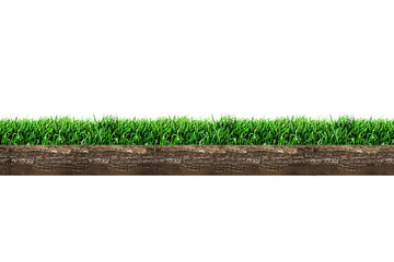 grass patch isolated on transparent background