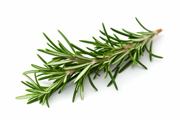Obraz premium a sprig of rosemary on a white surface